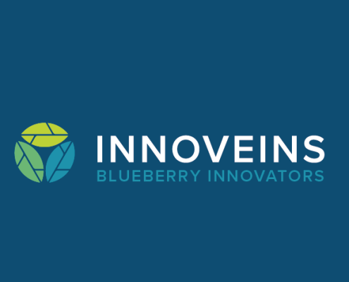 Innovatie in blauwebessenteelt